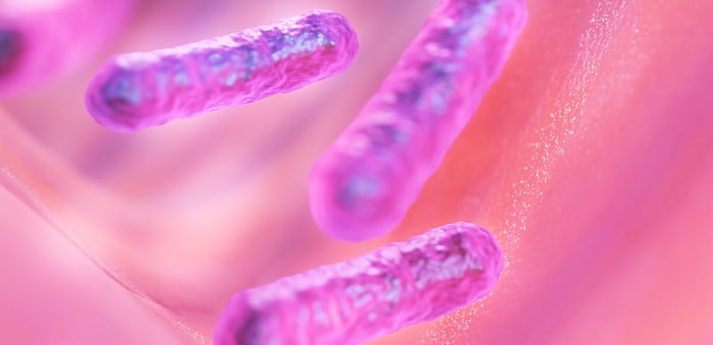 Extremophiles